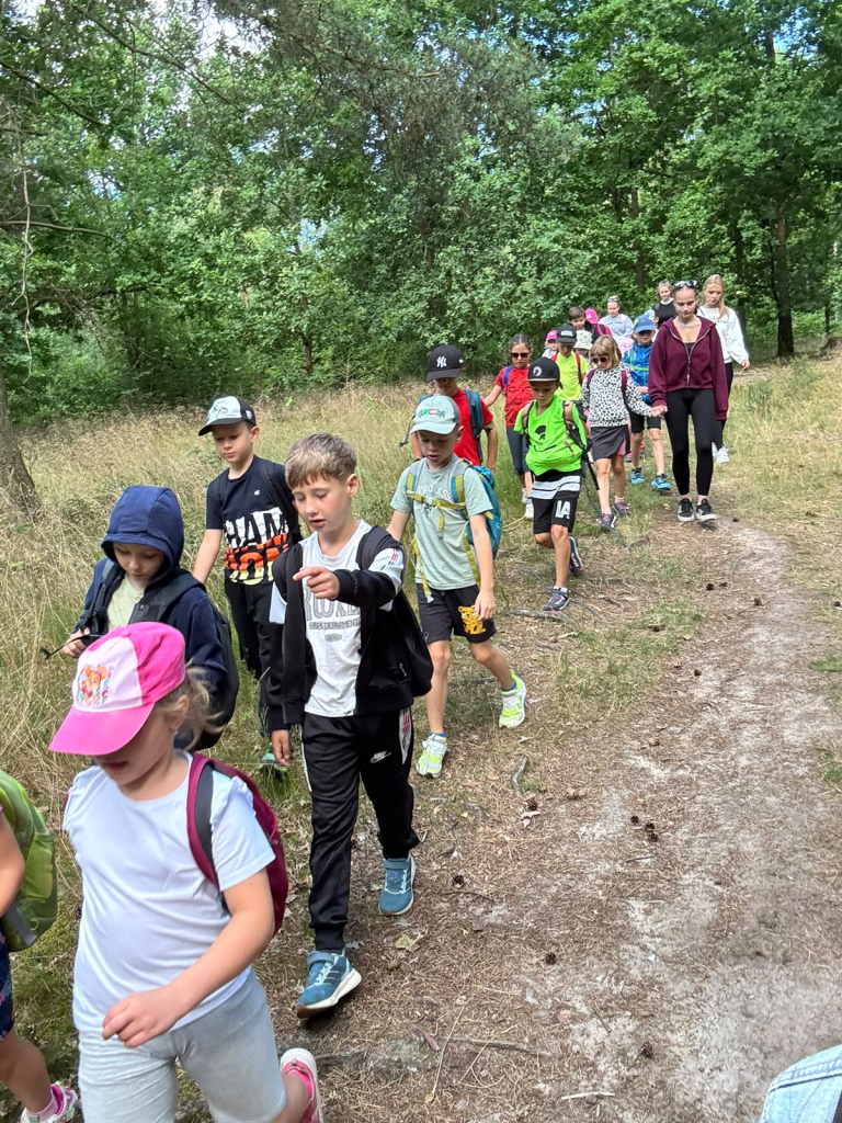 52.jpeg